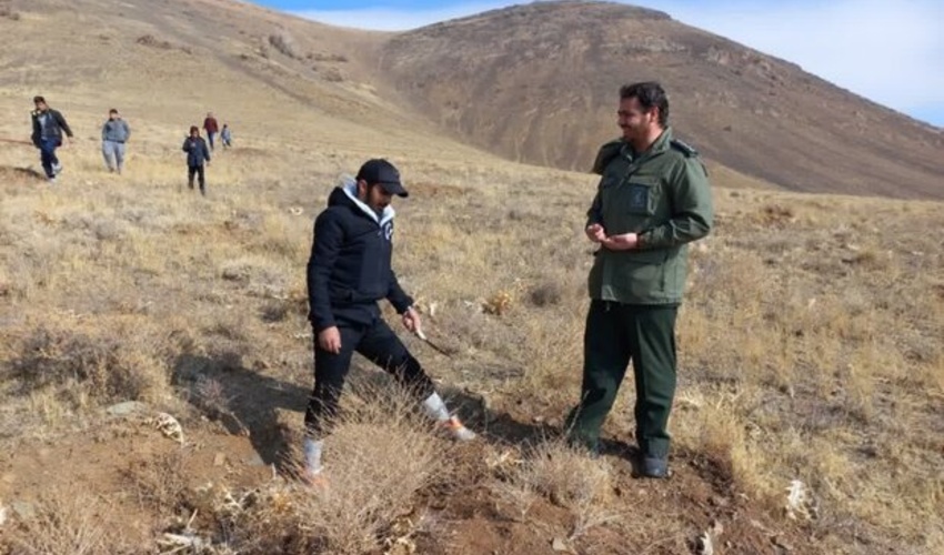 فارس/ 13 هزار هکتار از ارتفاعات اراضی ملی شیراز بذرکاری شد