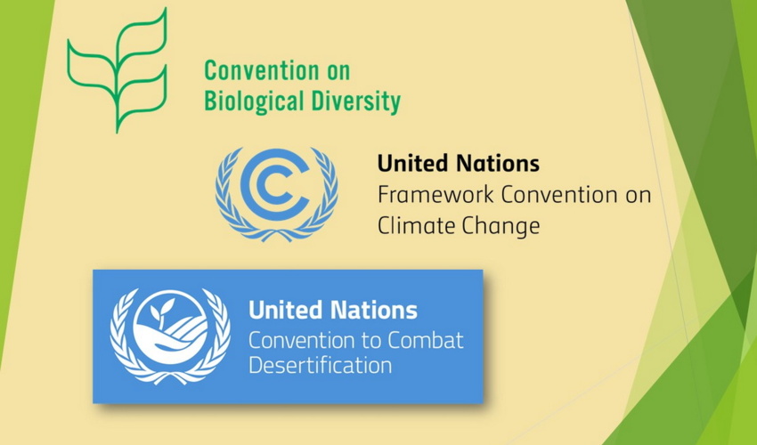 نشست مشترک کنوانسیون های ریو تحت عنوان "اتحاد برای زمین" برگزار می شود 