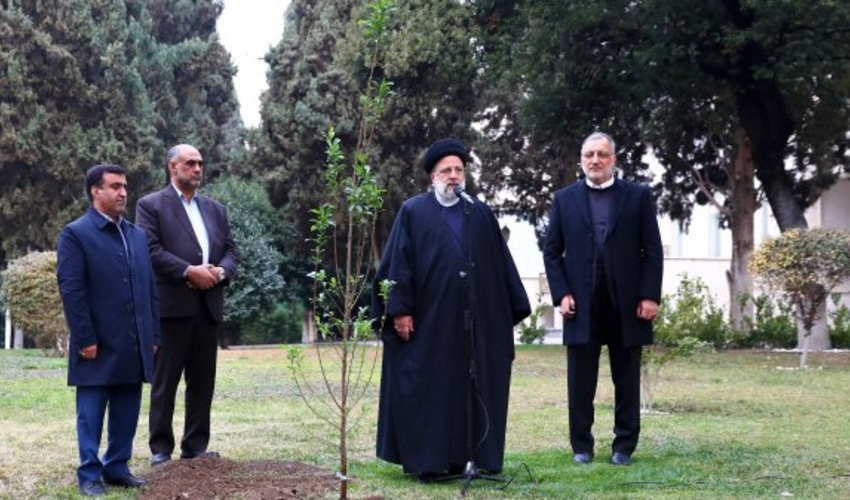 روز درختکاری بهانه‌ای برای یادآوری ضرورت توجه به حفاظت از درختان و فضای سبز است