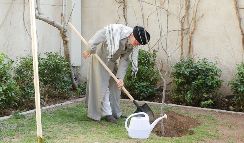تولید 250 میلیون نهال در سال 1402 ما را به یک میلیارد درخت وعده داده شده نزدیک می کند