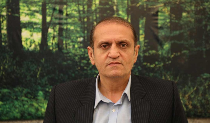  فصل عاشقی و رسم عاشقی با درخت 