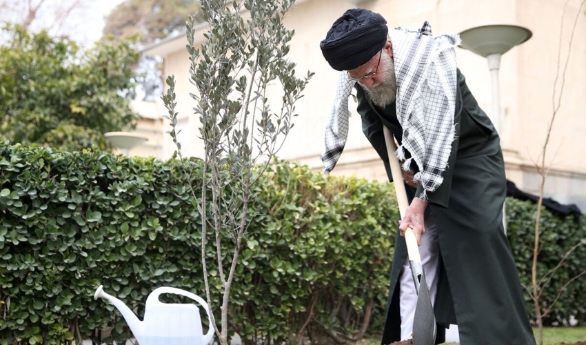 تولید 250 میلیون نهال در سال 1402 ما را به یک میلیارد درخت وعده داده شده نزدیک می کند