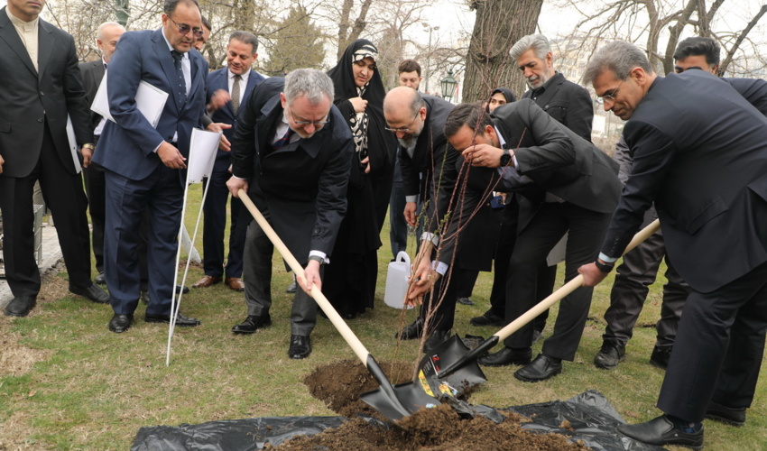 کاشت نهال صلح و دوستی در نشست تاثیرات جنگ بر غزه