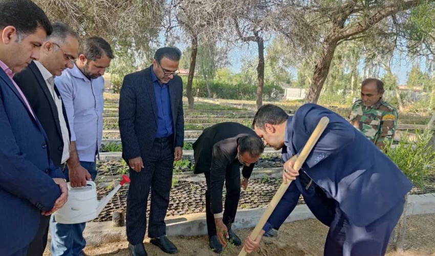 کاشت نهال با حضور مشاور وزیر جهاد کشاورزی در امور جوانان و نخبگان