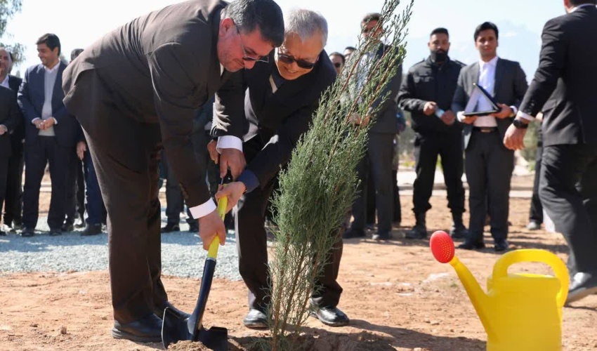 سفرای کشورهای عضو «ACD »و «ECO » در یزد نهال غرس کردند