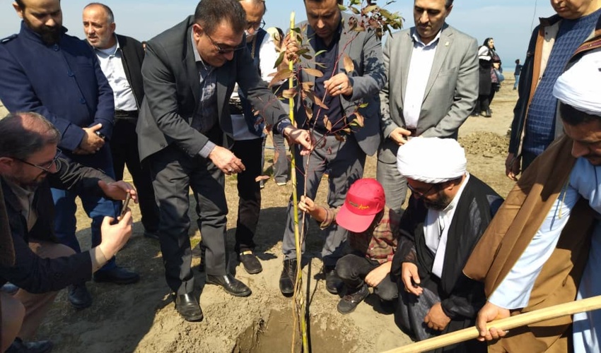 نوشهر/ پویش کاشت نهال در حوزه اداره کل منابع طبیعی نوشهر با دانش آموزان مدارس