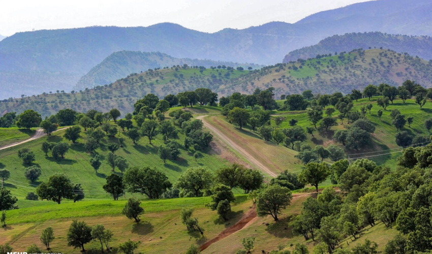 ایلام/ هرگونه آسیب به طبیعت پیگرد قضائی دارد