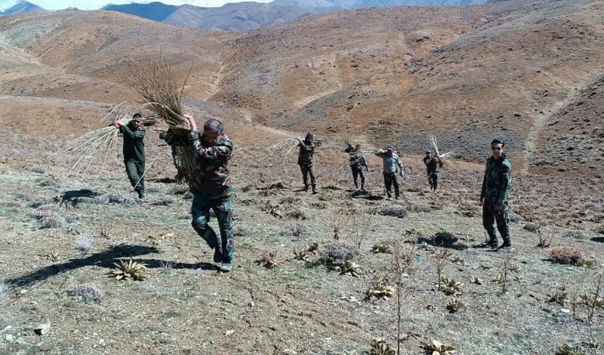 البرز/ جلوگیری از نهالکاری غیر مجاز و رفع تصرف اراضی ملی با هماهنگی دادستان ساوجبلاغ