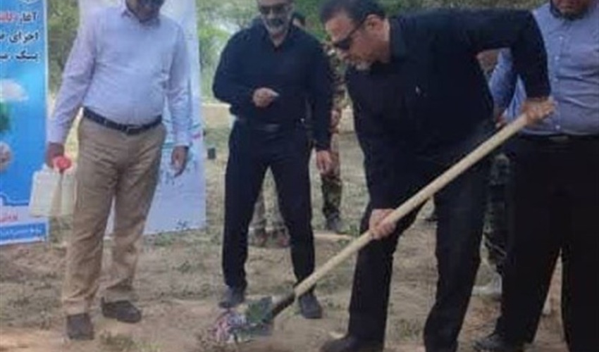 کاشت ۱۷ هزار نهال در استان بوشهر