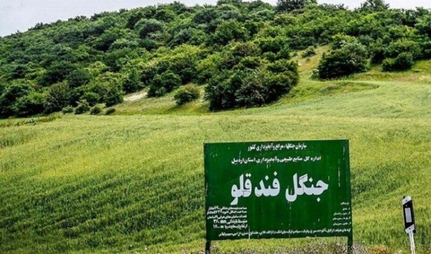 غنی‌سازی ۶۳ هکتار از جنگل‌های استان اردبیل