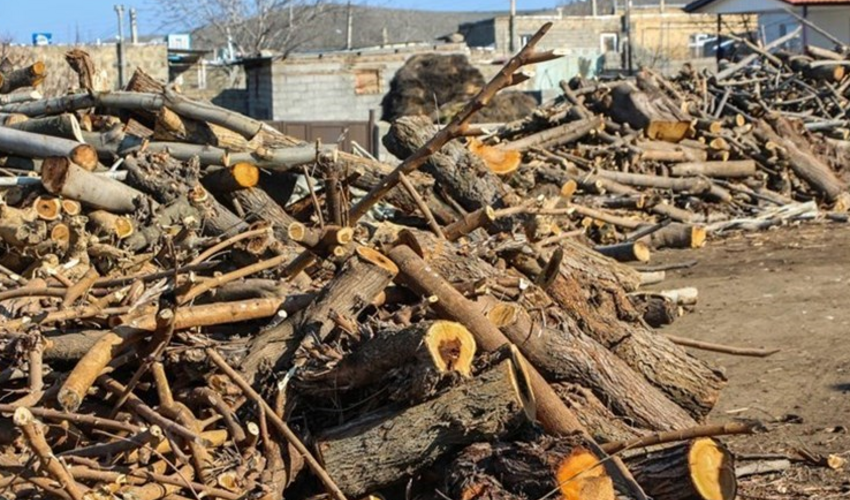 2 تن چوب قاچاق در کهگیلویه و بویراحمد