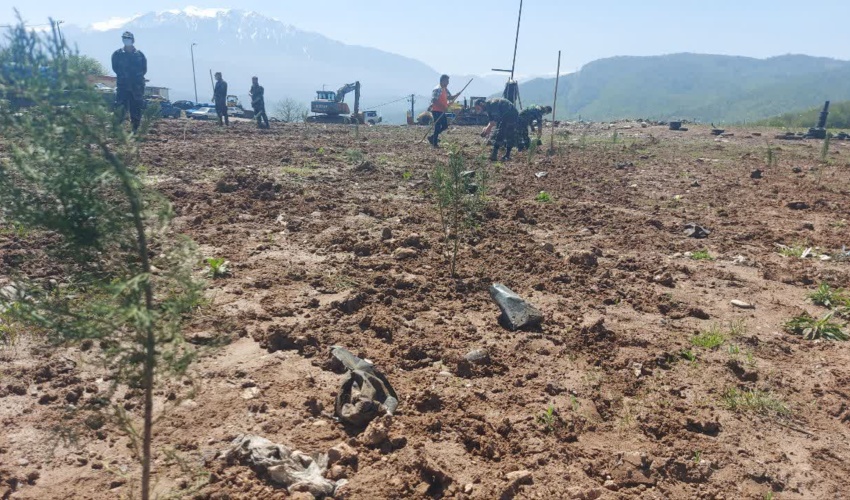  گیلان/ کاشت 1500 اصله نهال در محدوده لندفیل سراوان رشت