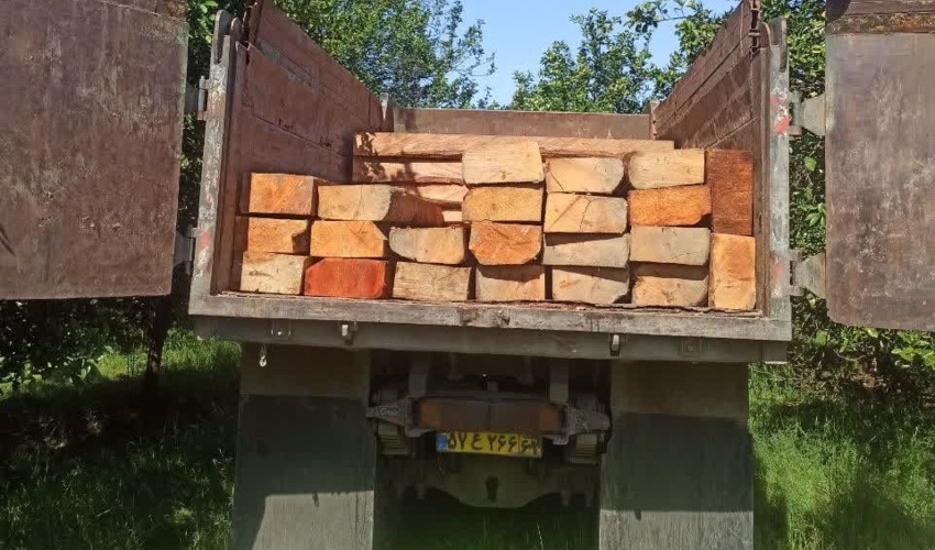 نوشهر- توقیف محموله چوب‌ قاچاق جنگلی در نشتارود/یک نفر دستگیر شد