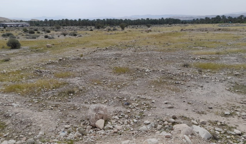 فارس/ آزاد سازی بیش از 20 هکتار از اراضی ملی حومه شهرستان قیروکارزین