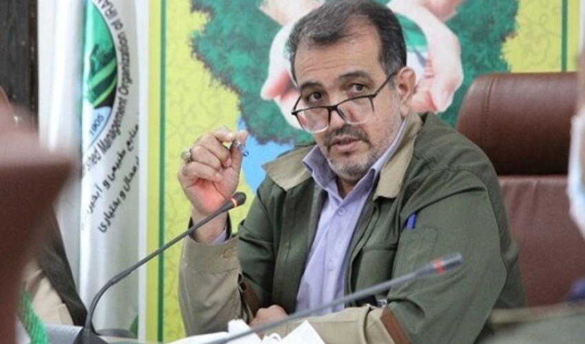 چهارمحال/کرفس کوهی، دارویی نهفته در دل طبیعت؛ گنجی که به تاراج می‌رود