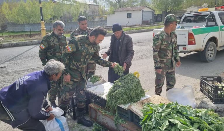 تهران/ برخورد قاطع یگان حفاظت منابع طبیعی دماوند با فروشندگان عمده گیاهان دارویی 