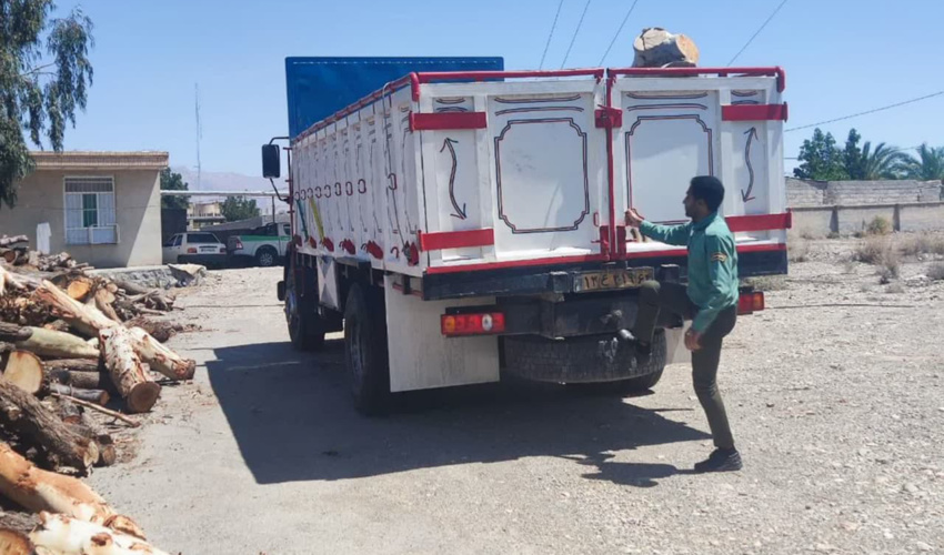 کرمان/ توقیف خودروی حامل چوب قاچاق در شهرستان ارزوئیه