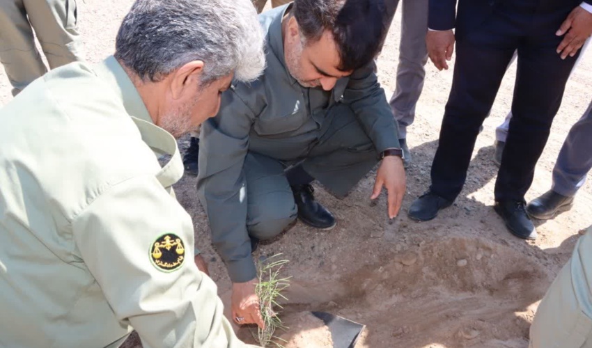 کاشت نهال توسط رییس سازمان حفاظت محیط زیست در نواران قم