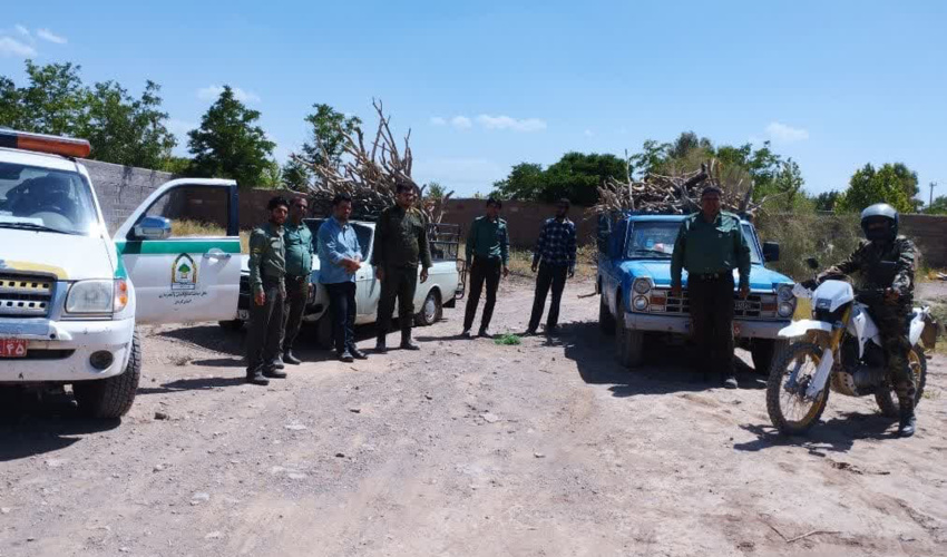 کرمان/ برخورد قاطع و جدی با تخریب کنندگان منابع طبیعی