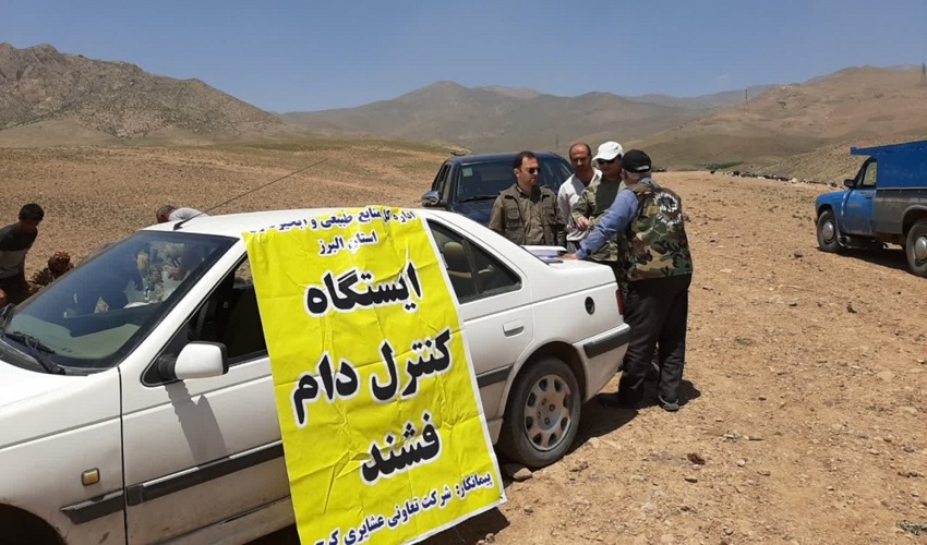 البرز/ از ابتدای سال جاری 45 هزار واحد دامی مجوز عبور به سمت مراتع را دریافت کرده اند