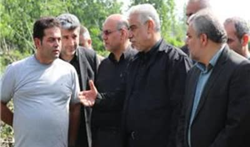 رشد زراعت چوب نياز کارخانه هاي فعال فرآوري چوب گيلان را تامين مي کند