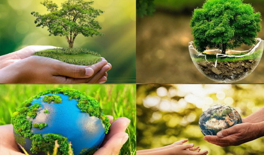 هفته محیط زیست گرامی باد