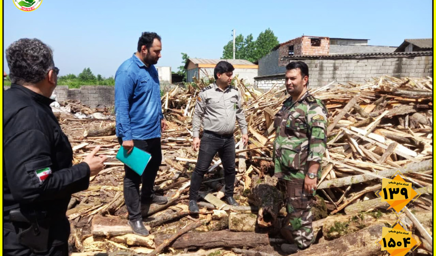 مازندران - ساری/ کشف و توقیف چوب جنگلی قاچاق در آمل