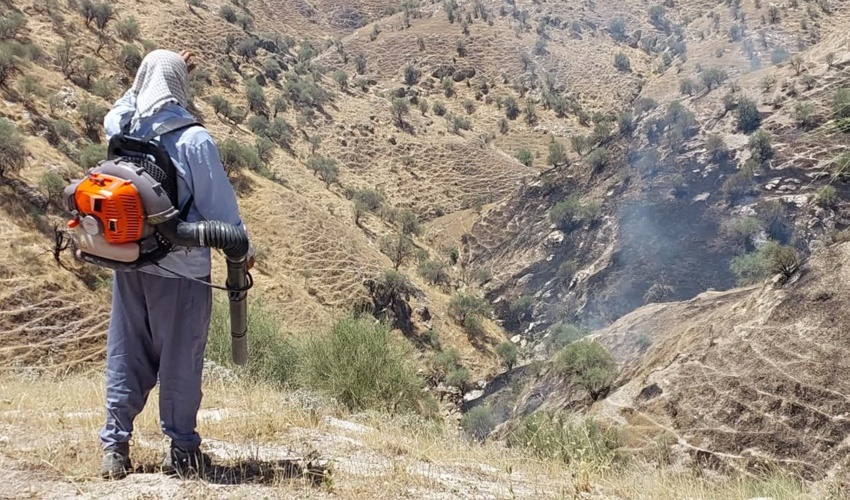 شناسایی عامل آتش سوزی مراتع آب نارون کهگیلویه