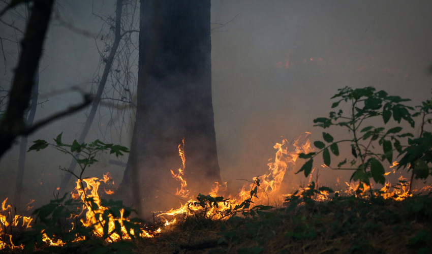 150 کیلومتر آتش بُر در منابع طبیعی همدان ایجاد شد