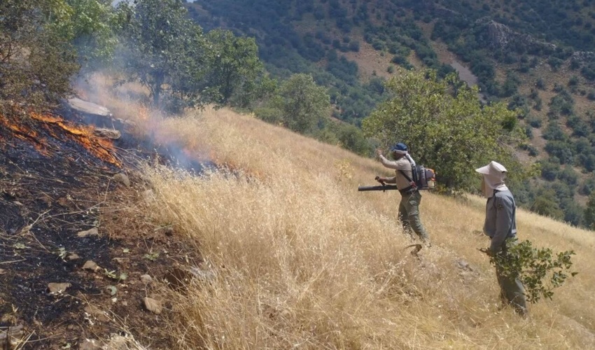 دادستان کرمانشاه: دستگاه‌های متولی برای مقابله با آتش‌سوزی مراتع و جنگل‌ها آماده باشند