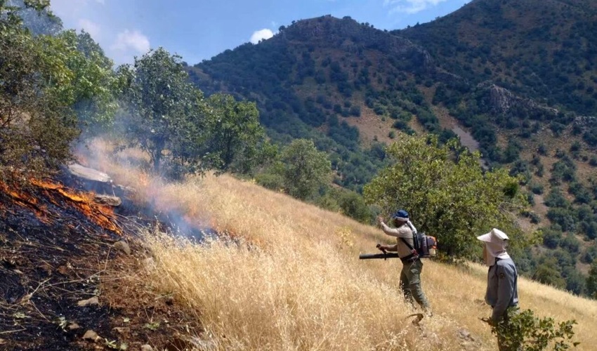 آتش سوزی در عرصه های گیلانغرب مهار شد