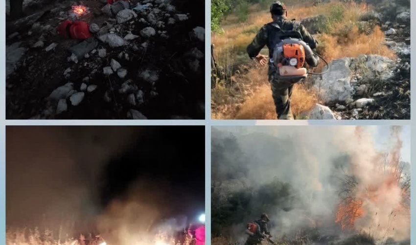 مهار آتش سوزی های مناطق دیشموک کهگیلویه و باشت