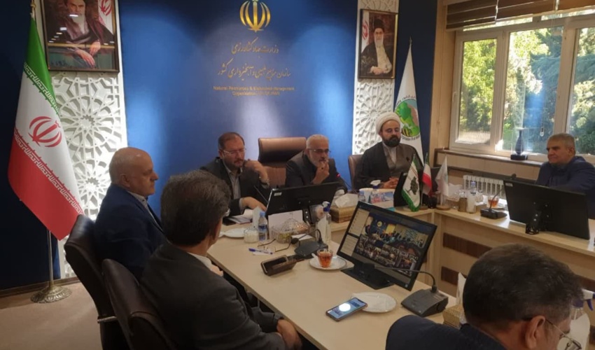 طرح مردمی کاشت یک میلیارد درخت، تمامی اقدامات منابع طبیعی نیست!