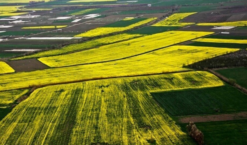 رفع تداخلات اراضی ملی زنجان در دولت سیزدهم 4.5 برابر رشد یافت