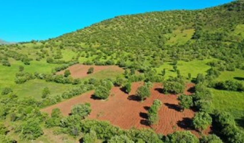 163 فقره پرونده تخریب و تصرف اراضی ملی در کرمانشاه تشکیل شد