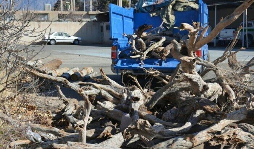 اصفهان/ 6 قاچاقچی چوب و زغال تاغ در اردستان به پرداخت جریمه محکوم شدند