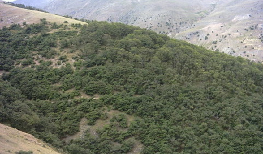 اصفهان/ فعالیت 2 اکیپ یگان حفاظت از عرصه‌های منابع طبیعی گلپایگان