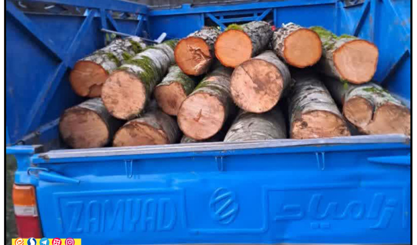 مازندران - ساری/ کشف و ضبط یک تن چوب قاچاق در شهرستان نور