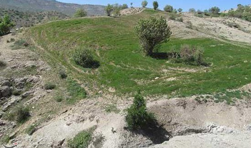 ۱۵ هکتار از اراضی ملی در شهرستان بوشهر رفع تصرف شد