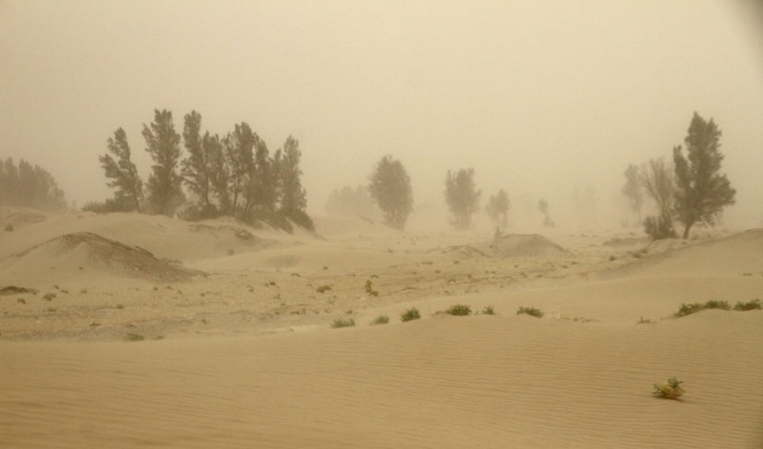 مجمع عمومی سازمان ملل یک دهه را به عنوان دهه مقابله با طوفان های ماسه و گرد‌و‌غبار اعلام کرد