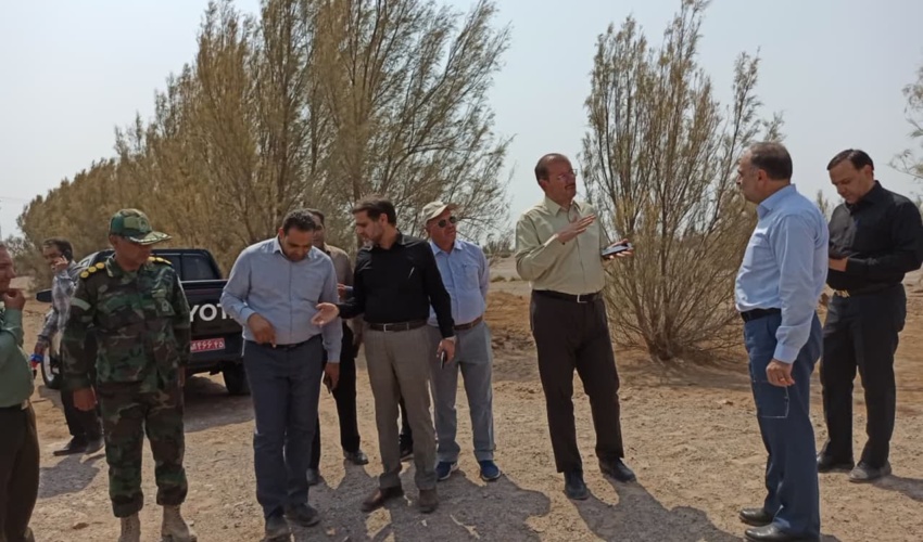 بازدید سرپرست سازمان منابع طبیعی از پروژه سیل‌بند تکاب شهداد