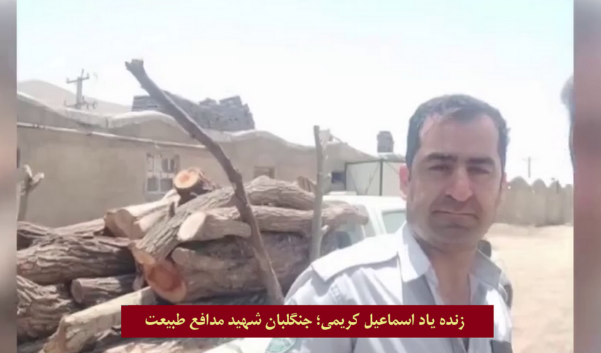 درگذشت شهادت گونه جنگلبان فداکار کردستانی آسیب دیده از اطفای حریق 