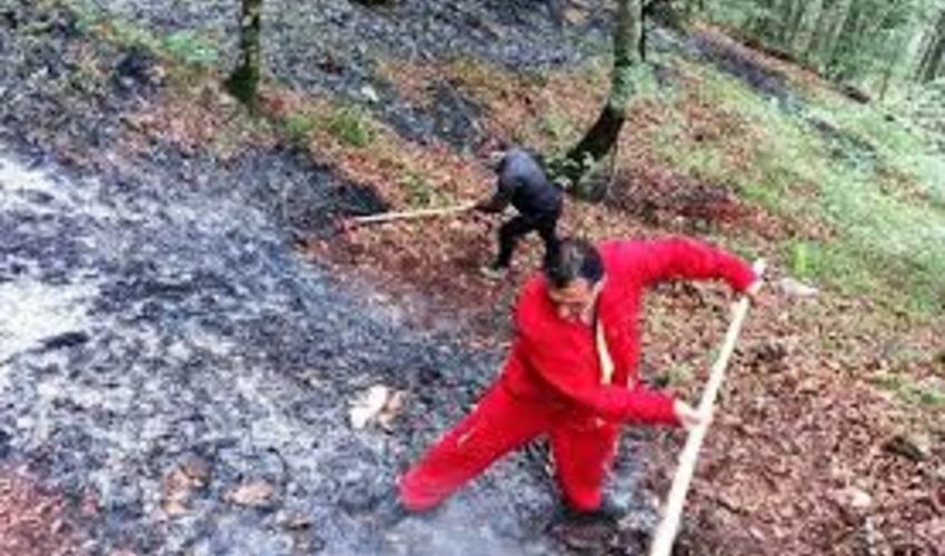 نوشهر/ هشدار آتش‌سوزی در جنگل‌های مازندران