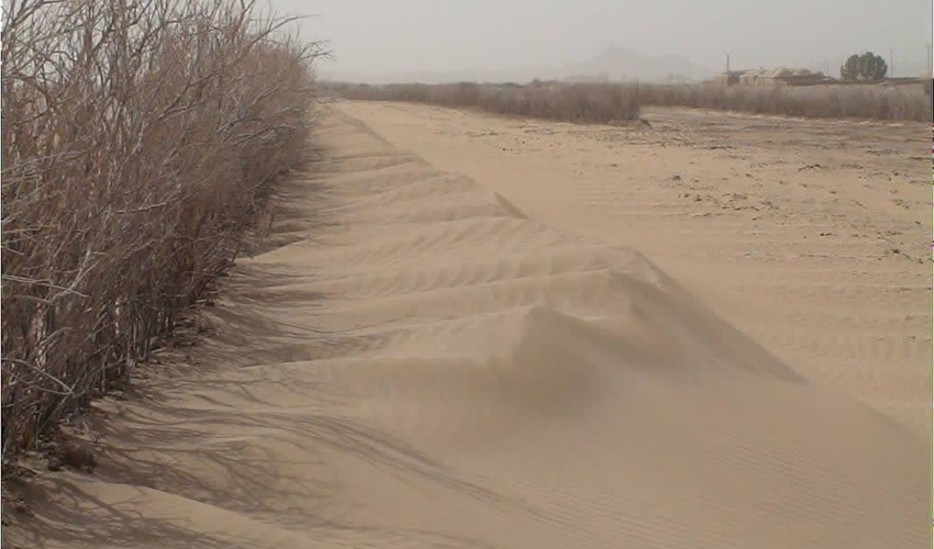 کاهش اثرات پدیده گرد و غبار با اقدامات حوزه مقابله با بیابان زایی در خراسان جنوبی