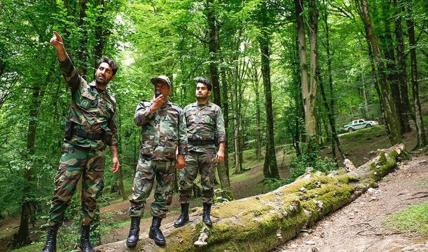 جنگلبانان، خط مقدم حفاظت از منابع طبیعی کشور هستند
