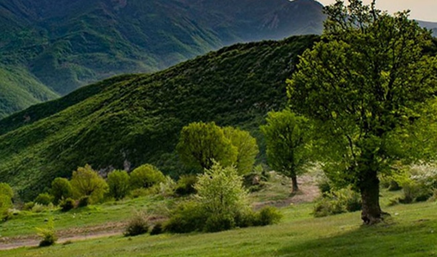 منابع طبیعی سمنان در آماده باش/ گردشگران مراقب جنگل‌ها باشند