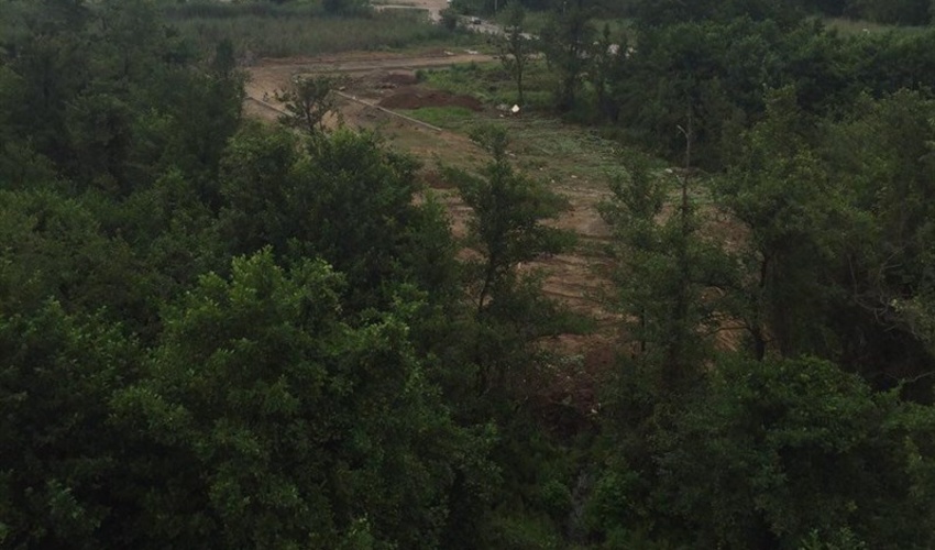 اصفهان/ نزدیک به یک سوم از عرصه های بیابانی شهرستان آران و بیدگل جنگل کاری شده است