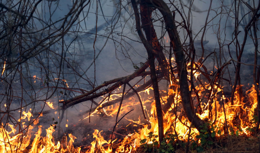 آماده‌باش نیروهای منابع طبیعی گلستان برای مقابله با آتش‌سوزی جنگل