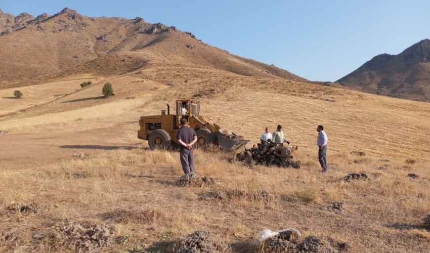 آذربایجان غربی/ توقیف و ضبط 15 تُن چوب جنگلی