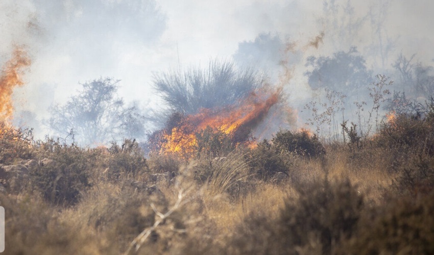 6.9 هکتار از مراتع قزوین درگیر حریق شد